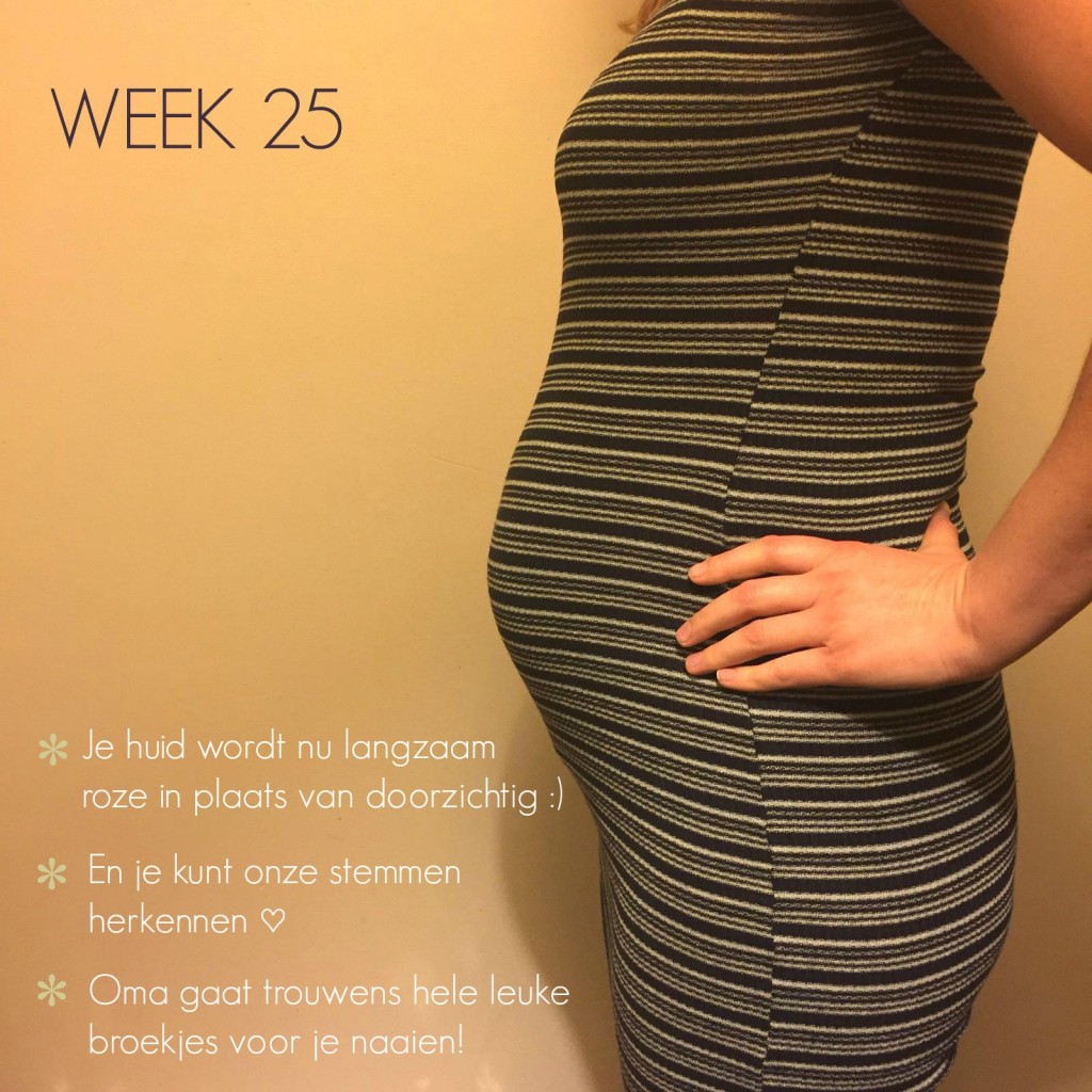zwangerschapsupdate week 25