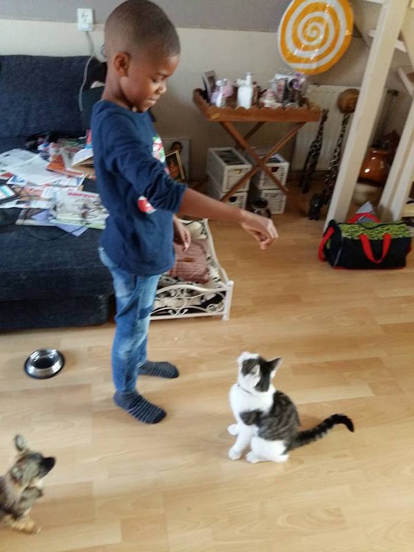 dierendag spelen met kat