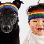 Fotoserie – Te cute: knulletje en hond in dezelfde outfit!