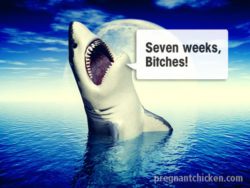 shark_week7