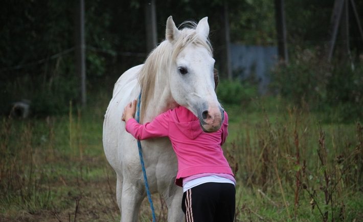 paard en meisje zijn beste vrienden