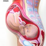 Bodypaint: zó ziet je zwangere buik er vanbinnen uit!