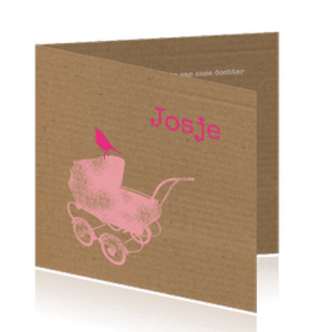 Boefjespost-geboortekaart-kinderwagen-karton-meisje