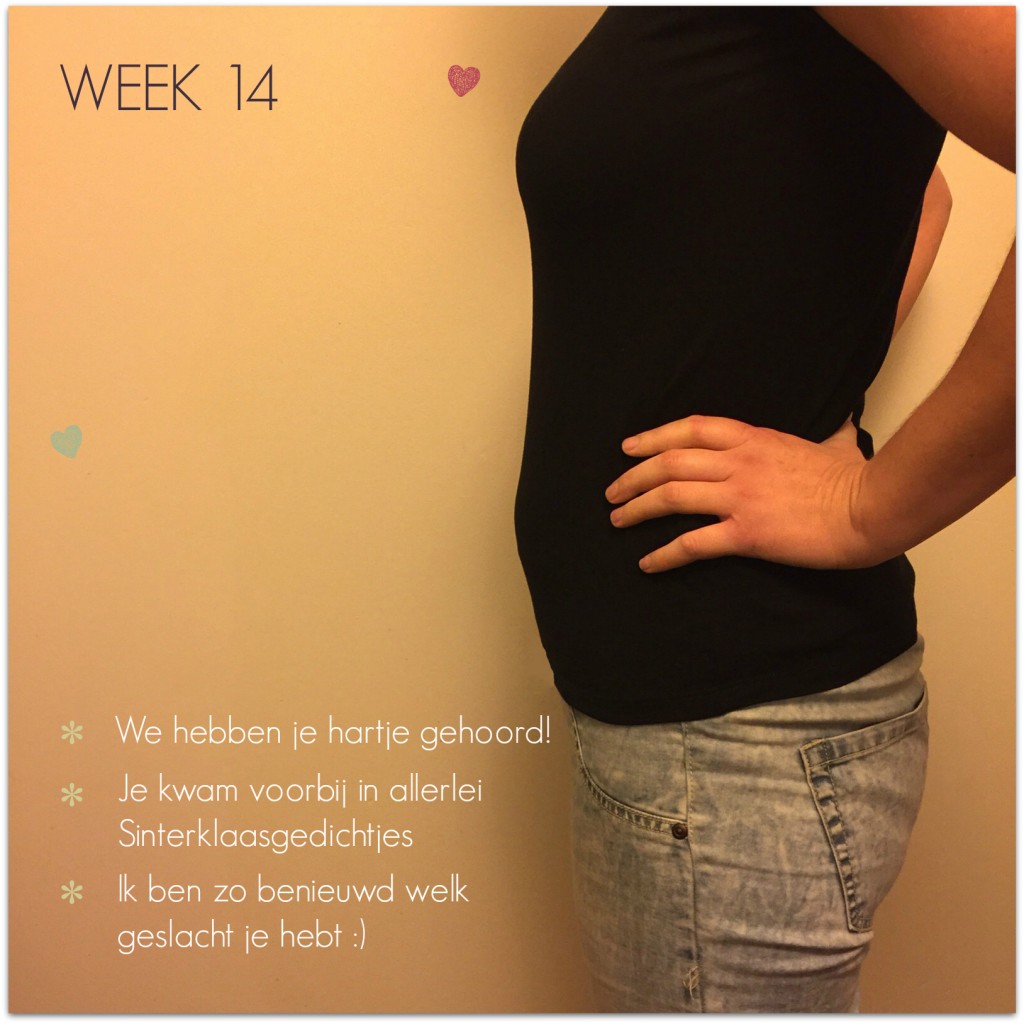 zwangerschapsupdate week 14