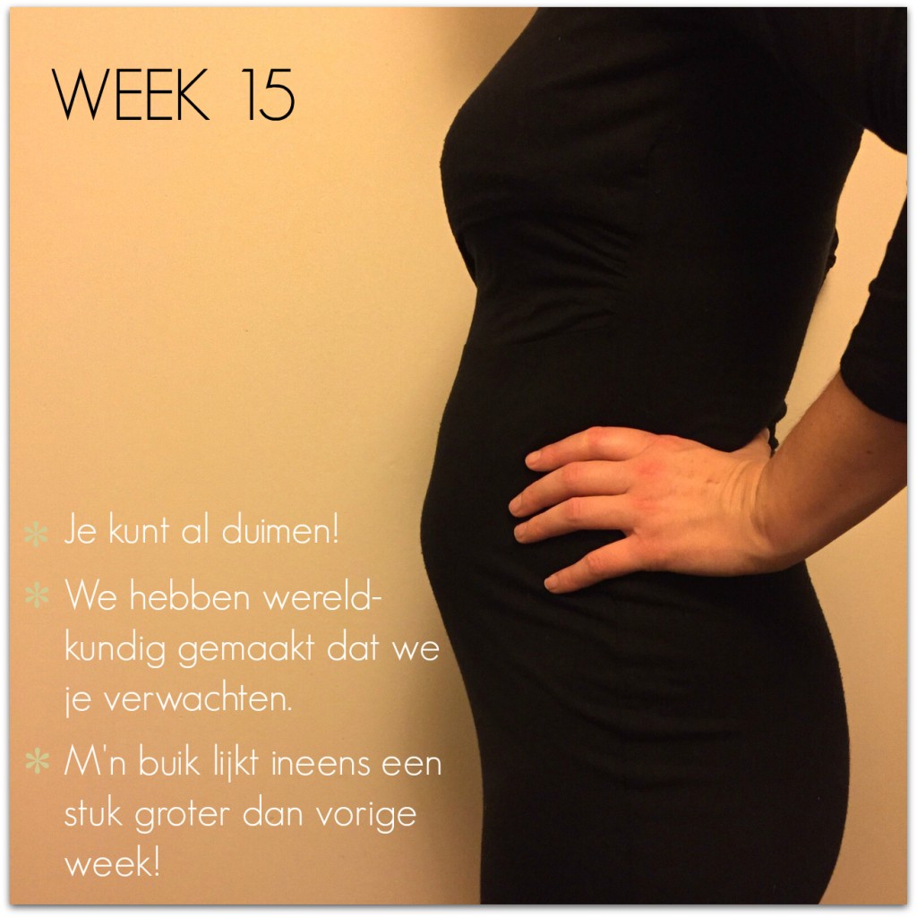 zwangerschapsupdate week 15