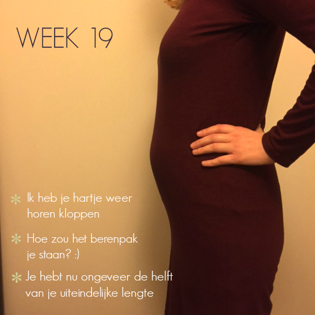 zwangerschapsupdate week 19