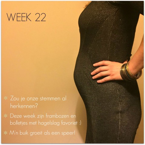 zwangerschapsupdate week 22
