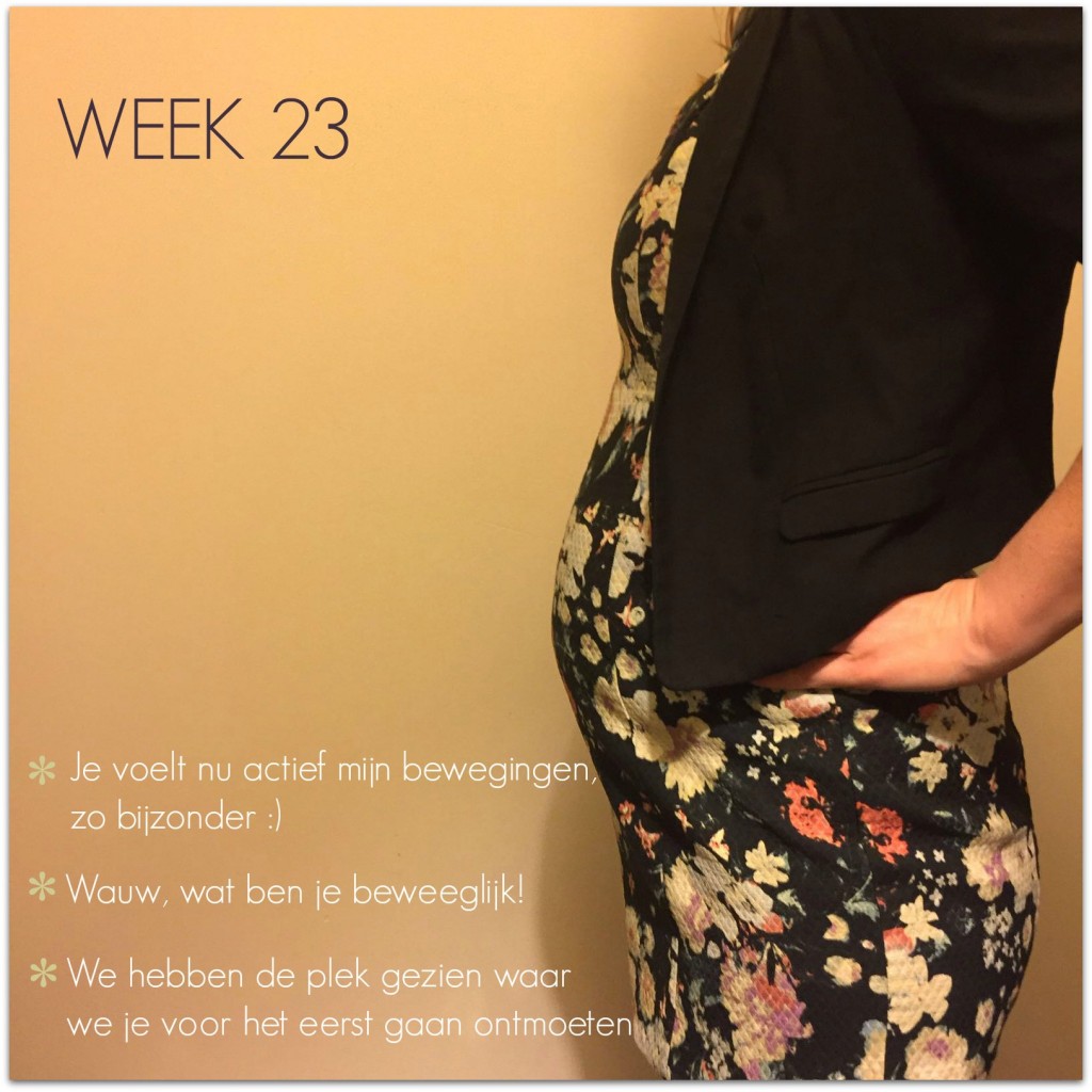 zwangerschapsupdate week 23