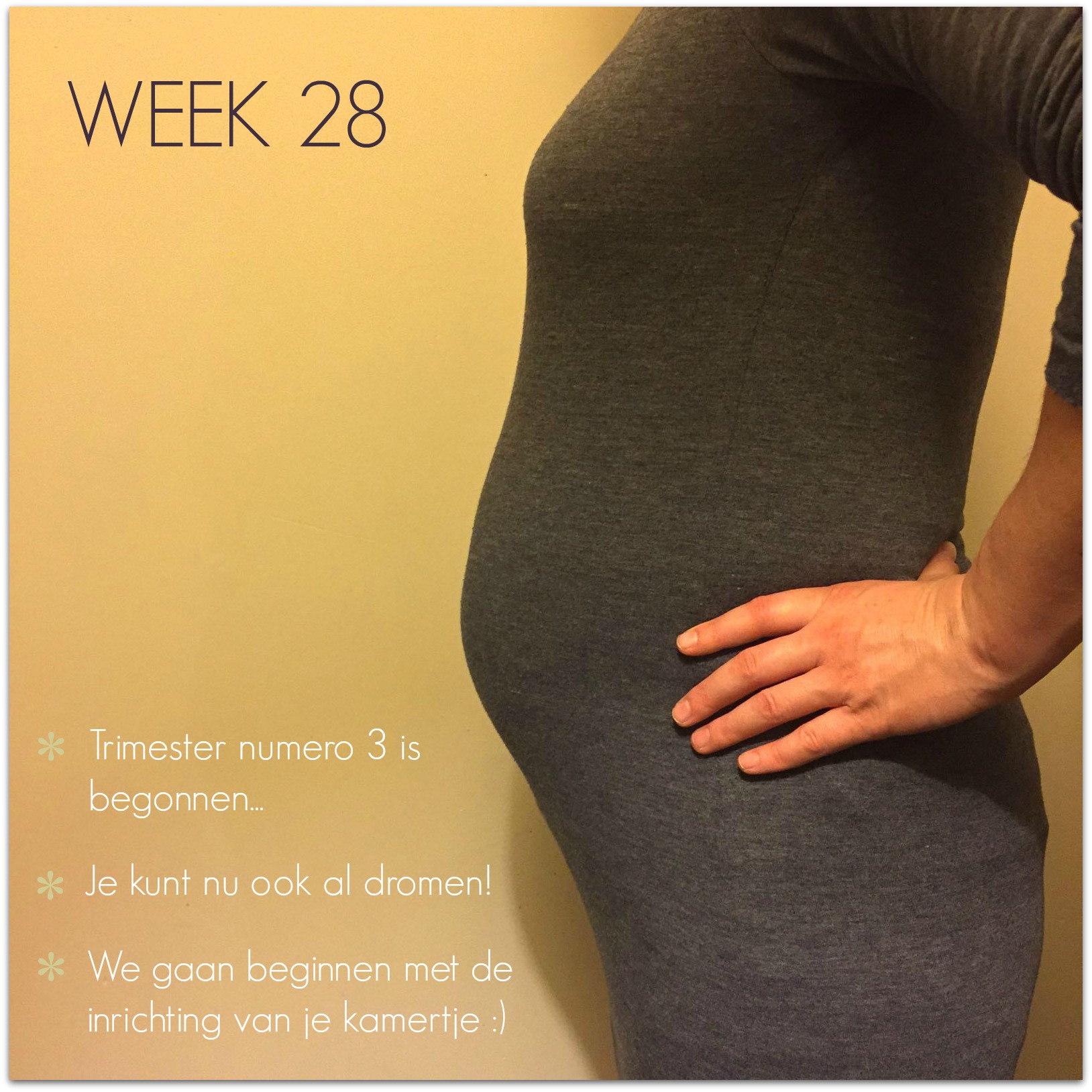 zwangerschapsupdate week 28