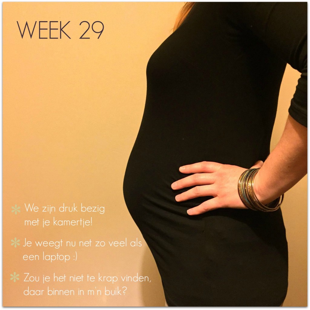 zwangerschapsupdate week 29